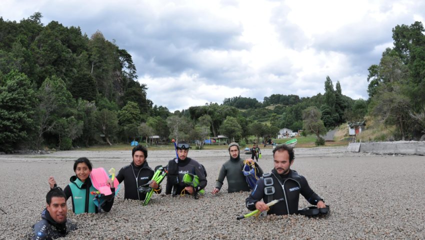 Several divers wade into the sea with equipment