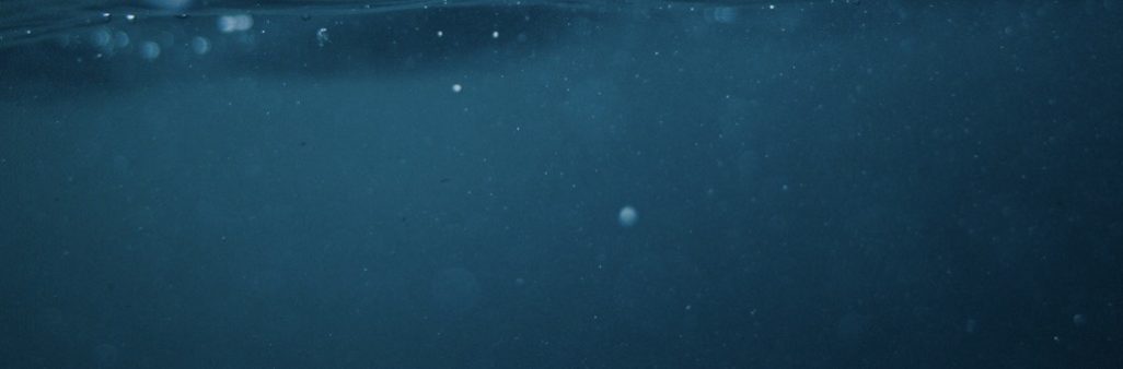Forschung: Unter Wasser im Meer