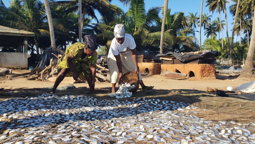 Zwei Frauen legen am Strand Fisch zum trocknen aus