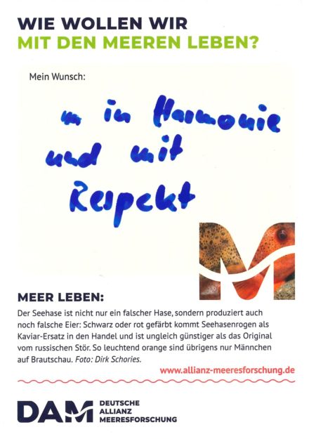 Antworten auf die Wunsch-Postkarte der Deutschen Allianz Meeresforschung (DAM) „Wie wollen wir mit dem Meer leben?“ Die Wünsche beziehen sich auf Nachhaltigkeit, Schutz, Nutzung, Forschung, Artenschutz, Biodiversität und Meere ohne Plastikmüll.