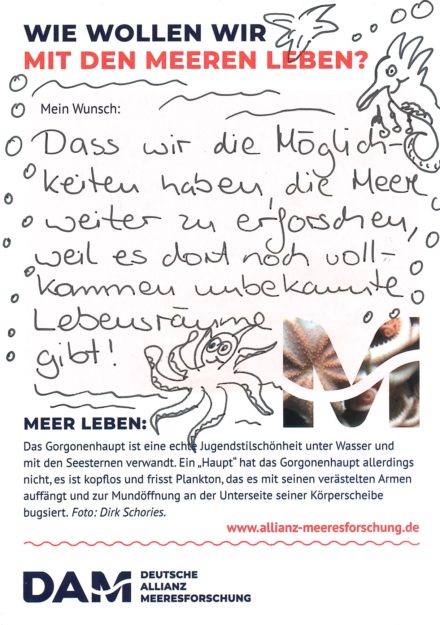 Antworten auf die Wunsch-Postkarte der Deutschen Allianz Meeresforschung (DAM) „Wie wollen wir mit dem Meer leben?“ Die Wünsche beziehen sich auf Nachhaltigkeit, Schutz, Nutzung, Forschung, Artenschutz, Biodiversität und Meere ohne Plastikmüll.