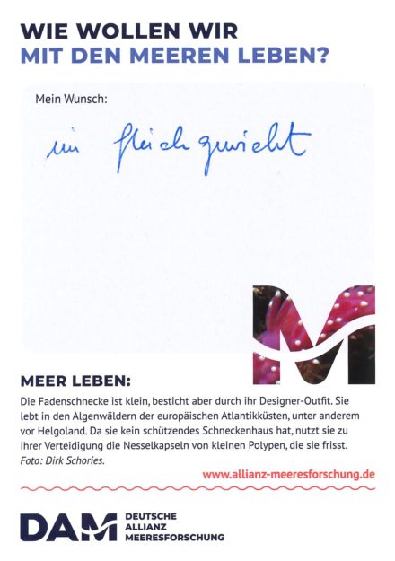 Antworten auf die Wunsch-Postkarte der Deutschen Allianz Meeresforschung (DAM) „Wie wollen wir mit dem Meer leben?“ Die Wünsche beziehen sich auf Nachhaltigkeit, Schutz, Nutzung, Forschung, Artenschutz, Biodiversität und Meere ohne Plastikmüll.