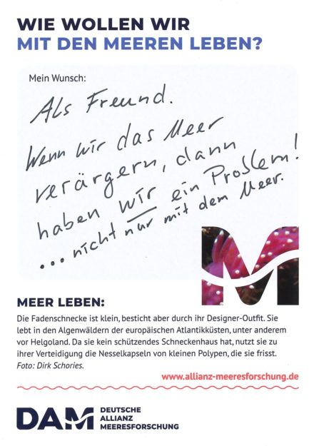 Antworten auf die Wunsch-Postkarte der Deutschen Allianz Meeresforschung (DAM) „Wie wollen wir mit dem Meer leben?“ Die Wünsche beziehen sich auf Nachhaltigkeit, Schutz, Nutzung, Forschung, Artenschutz, Biodiversität und Meere ohne Plastikmüll.