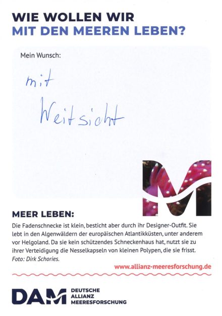 Antworten auf die Wunsch-Postkarte der Deutschen Allianz Meeresforschung (DAM) „Wie wollen wir mit dem Meer leben?“ Die Wünsche beziehen sich auf Nachhaltigkeit, Schutz, Nutzung, Forschung, Artenschutz, Biodiversität und Meere ohne Plastikmüll.