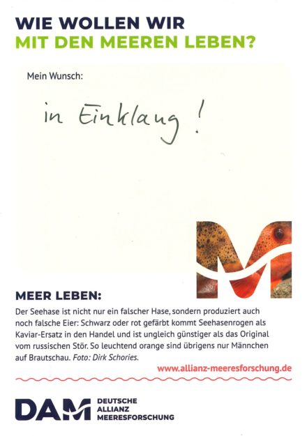 Antworten auf die Wunsch-Postkarte der Deutschen Allianz Meeresforschung (DAM) „Wie wollen wir mit dem Meer leben?“ Die Wünsche beziehen sich auf Nachhaltigkeit, Schutz, Nutzung, Forschung, Artenschutz, Biodiversität und Meere ohne Plastikmüll.