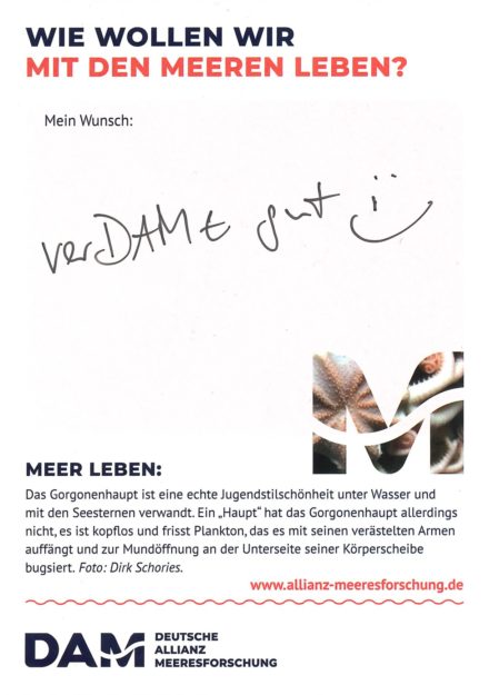 Antworten auf die Wunsch-Postkarte der Deutschen Allianz Meeresforschung (DAM) „Wie wollen wir mit dem Meer leben?“ Die Wünsche beziehen sich auf Nachhaltigkeit, Schutz, Nutzung, Forschung, Artenschutz, Biodiversität und Meere ohne Plastikmüll.