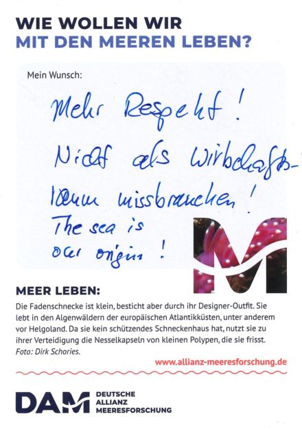 Antworten auf die Wunsch-Postkarte der Deutschen Allianz Meeresforschung (DAM) „Wie wollen wir mit dem Meer leben?“ Die Wünsche beziehen sich auf Nachhaltigkeit, Schutz, Nutzung, Forschung, Artenschutz, Biodiversität und Meere ohne Plastikmüll.