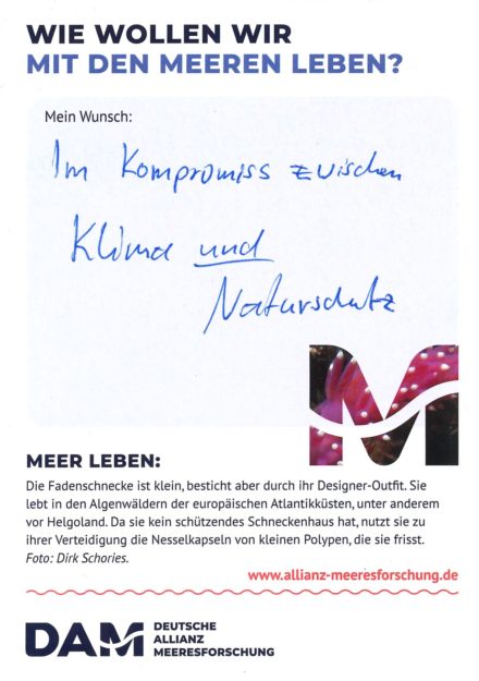 Antworten auf die Wunsch-Postkarte der Deutschen Allianz Meeresforschung (DAM) „Wie wollen wir mit dem Meer leben?“ Die Wünsche beziehen sich auf Nachhaltigkeit, Schutz, Nutzung, Forschung, Artenschutz, Biodiversität und Meere ohne Plastikmüll.