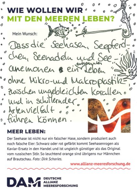 Antworten auf die Wunsch-Postkarte der Deutschen Allianz Meeresforschung (DAM) „Wie wollen wir mit dem Meer leben?“ Die Wünsche beziehen sich auf Nachhaltigkeit, Schutz, Nutzung, Forschung, Artenschutz, Biodiversität und Meere ohne Plastikmüll.