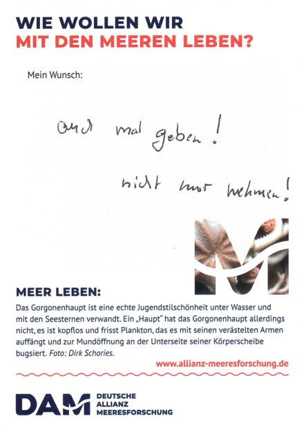 Antworten auf die Wunsch-Postkarte der Deutschen Allianz Meeresforschung (DAM) „Wie wollen wir mit dem Meer leben?“ Die Wünsche beziehen sich auf Nachhaltigkeit, Schutz, Nutzung, Forschung, Artenschutz, Biodiversität und Meere ohne Plastikmüll.