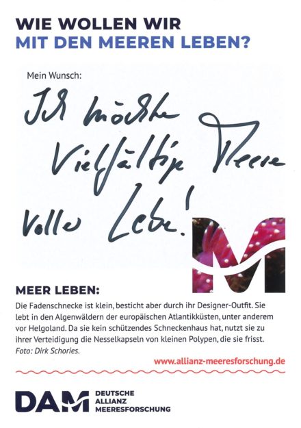 Antworten auf die Wunsch-Postkarte der Deutschen Allianz Meeresforschung (DAM) „Wie wollen wir mit dem Meer leben?“ Die Wünsche beziehen sich auf Nachhaltigkeit, Schutz, Nutzung, Forschung, Artenschutz, Biodiversität und Meere ohne Plastikmüll.