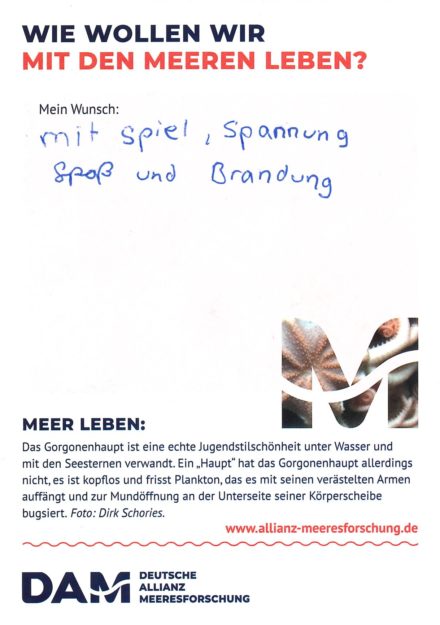 Antworten auf die Wunsch-Postkarte der Deutschen Allianz Meeresforschung (DAM) „Wie wollen wir mit dem Meer leben?“ Die Wünsche beziehen sich auf Nachhaltigkeit, Schutz, Nutzung, Forschung, Artenschutz, Biodiversität und Meere ohne Plastikmüll.