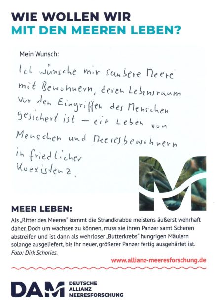 Antworten auf die Wunsch-Postkarte der Deutschen Allianz Meeresforschung (DAM) „Wie wollen wir mit dem Meer leben?“ Die Wünsche beziehen sich auf Nachhaltigkeit, Schutz, Nutzung, Forschung, Artenschutz, Biodiversität und Meere ohne Plastikmüll.