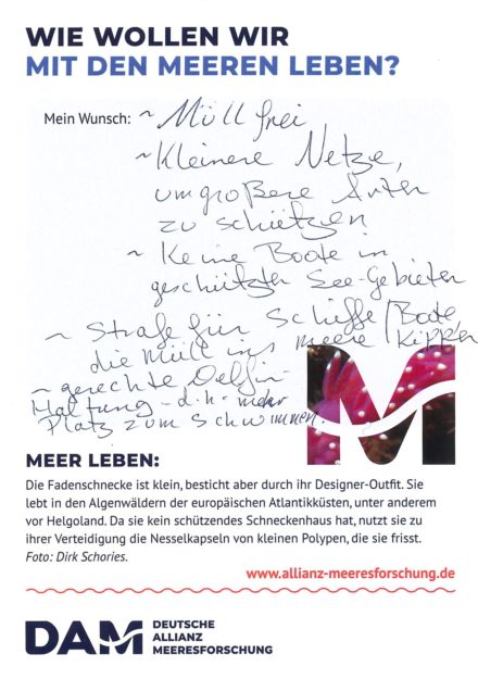 Antworten auf die Wunsch-Postkarte der Deutschen Allianz Meeresforschung (DAM) „Wie wollen wir mit dem Meer leben?“ Die Wünsche beziehen sich auf Nachhaltigkeit, Schutz, Nutzung, Forschung, Artenschutz, Biodiversität und Meere ohne Plastikmüll.