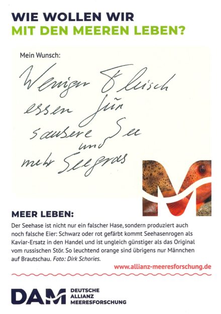 Antworten auf die Wunsch-Postkarte der Deutschen Allianz Meeresforschung (DAM) „Wie wollen wir mit dem Meer leben?“ Die Wünsche beziehen sich auf Nachhaltigkeit, Schutz, Nutzung, Forschung, Artenschutz, Biodiversität und Meere ohne Plastikmüll.