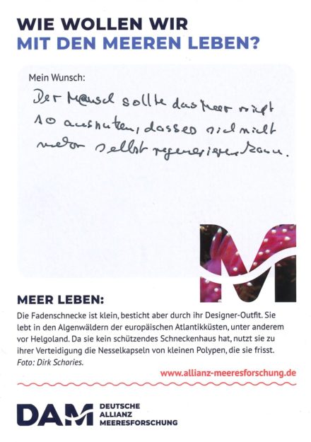 Antworten auf die Wunsch-Postkarte der Deutschen Allianz Meeresforschung (DAM) „Wie wollen wir mit dem Meer leben?“ Die Wünsche beziehen sich auf Nachhaltigkeit, Schutz, Nutzung, Forschung, Artenschutz, Biodiversität und Meere ohne Plastikmüll.