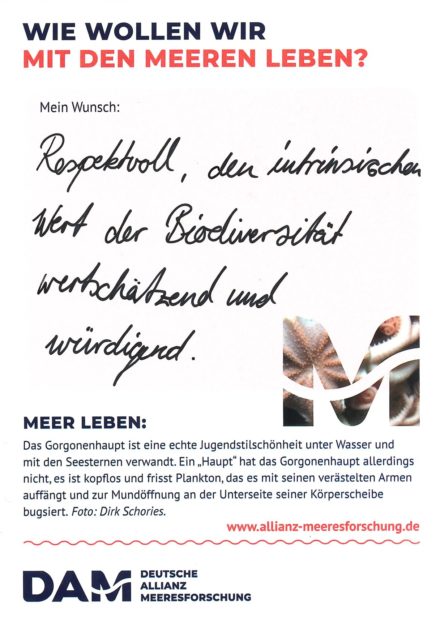 Antworten auf die Wunsch-Postkarte der Deutschen Allianz Meeresforschung (DAM) „Wie wollen wir mit dem Meer leben?“ Die Wünsche beziehen sich auf Nachhaltigkeit, Schutz, Nutzung, Forschung, Artenschutz, Biodiversität und Meere ohne Plastikmüll.