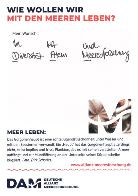 Antworten auf die Wunsch-Postkarte der Deutschen Allianz Meeresforschung (DAM) „Wie wollen wir mit dem Meer leben?“ Die Wünsche beziehen sich auf Nachhaltigkeit, Schutz, Nutzung, Forschung, Artenschutz, Biodiversität und Meere ohne Plastikmüll.