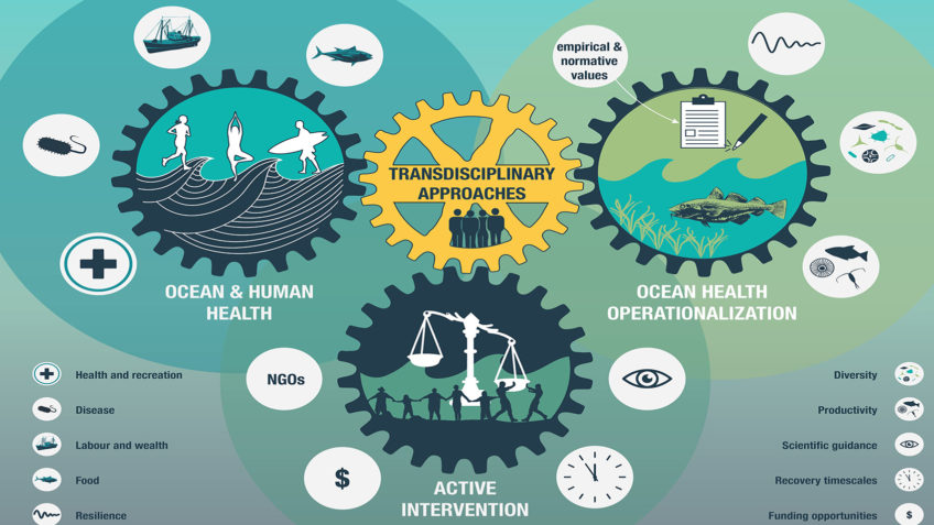 Diagram to Ocean and Human Health