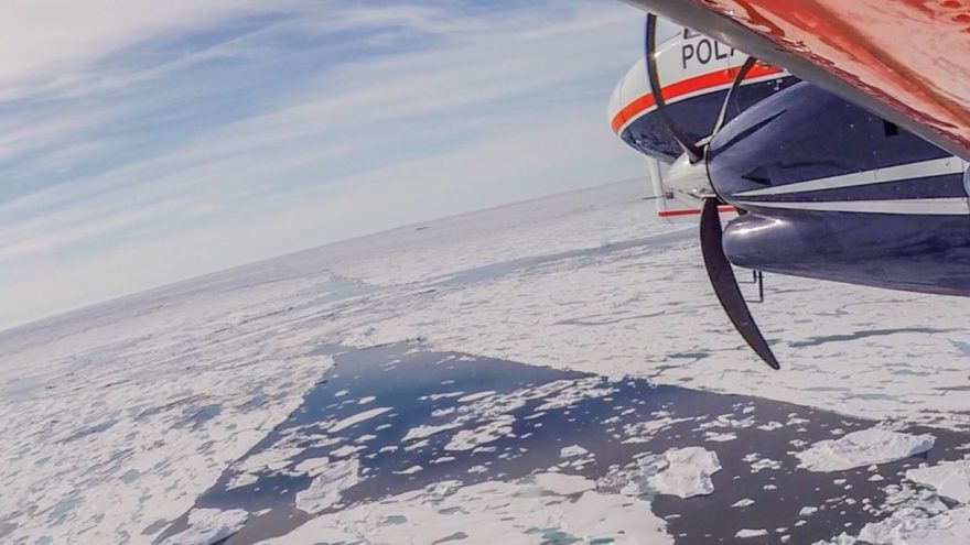 40 Jahre AWI Zentrum für Polar- und Meeresforschung. Ein Forschungsflugzeug fliegt über der Arktis.