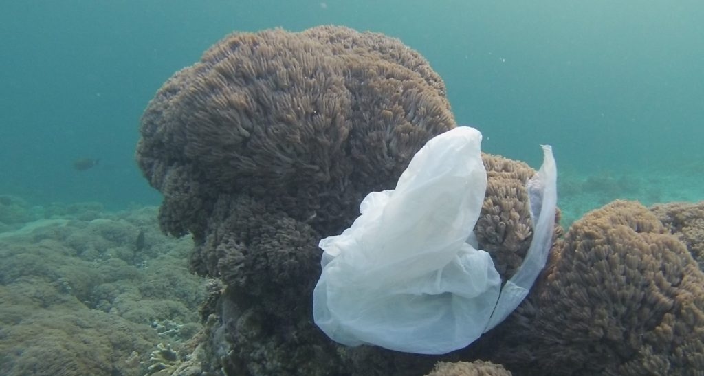 Plastik in Ozeanen