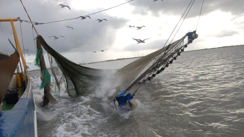 Krabbenfischen für die Forschung