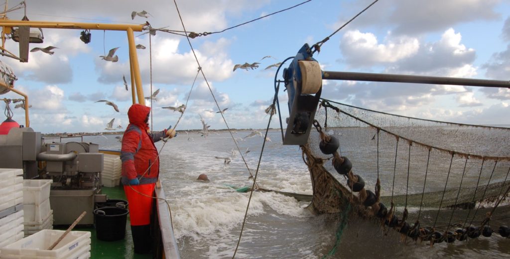 Sustainable use of marine areas: Krabbenfischen für die Forschung