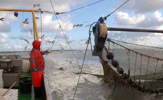 nachhaltige Nutzung: Krabbenfischen für die Forschung