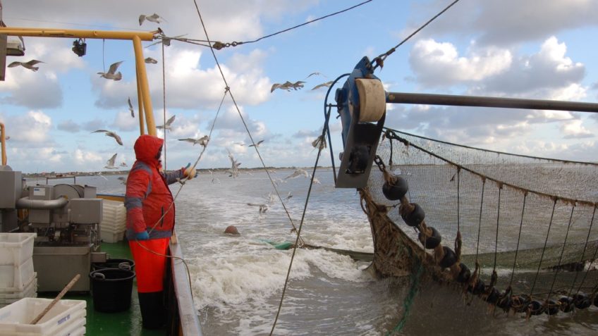 nachhaltige Nutzung: Krabbenfischen für die Forschung