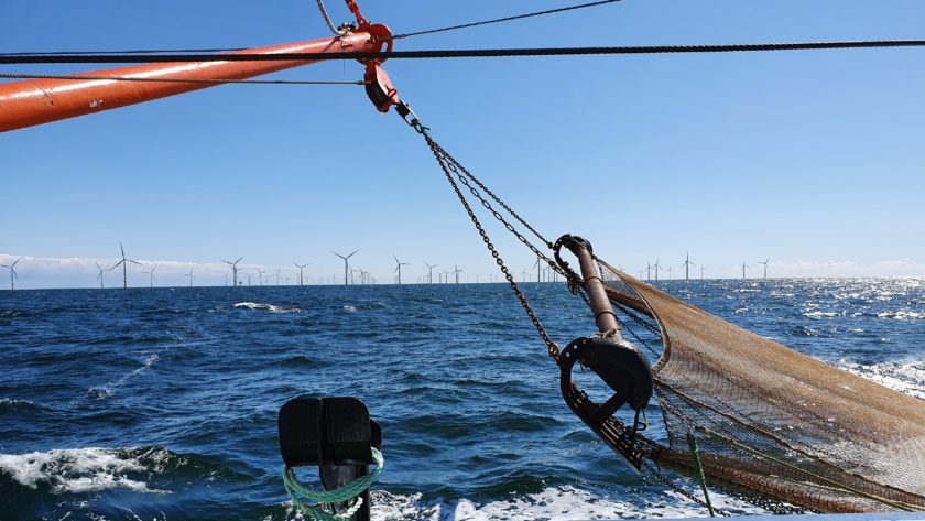 Baumkurre im Einsatz in der Nordsee