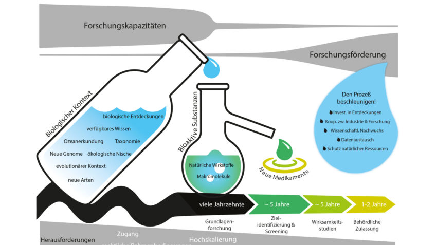 Schematische Abbildung Wirkstoff zu Medikament