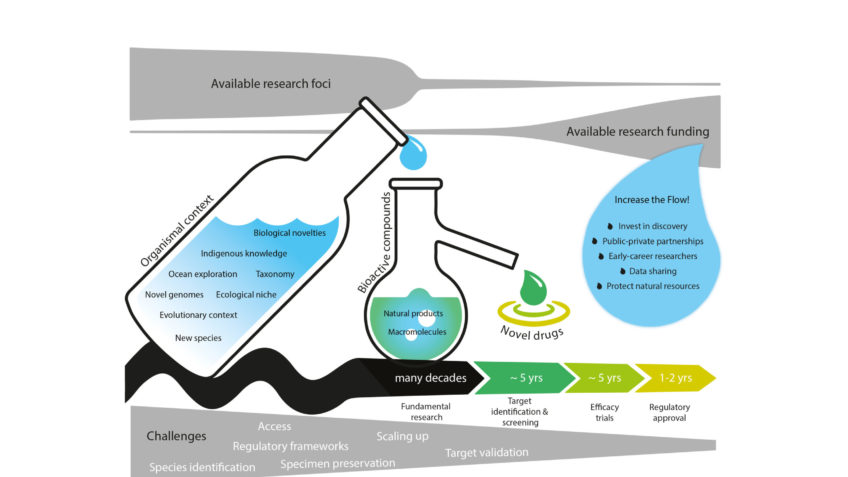 Diagram workflow discovery marine substance