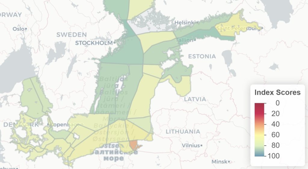 Mit dem Baltic Health Index können Forschende den Zustand der Ostsee auf einer Punkteskala von Null bis 100 bewerten.