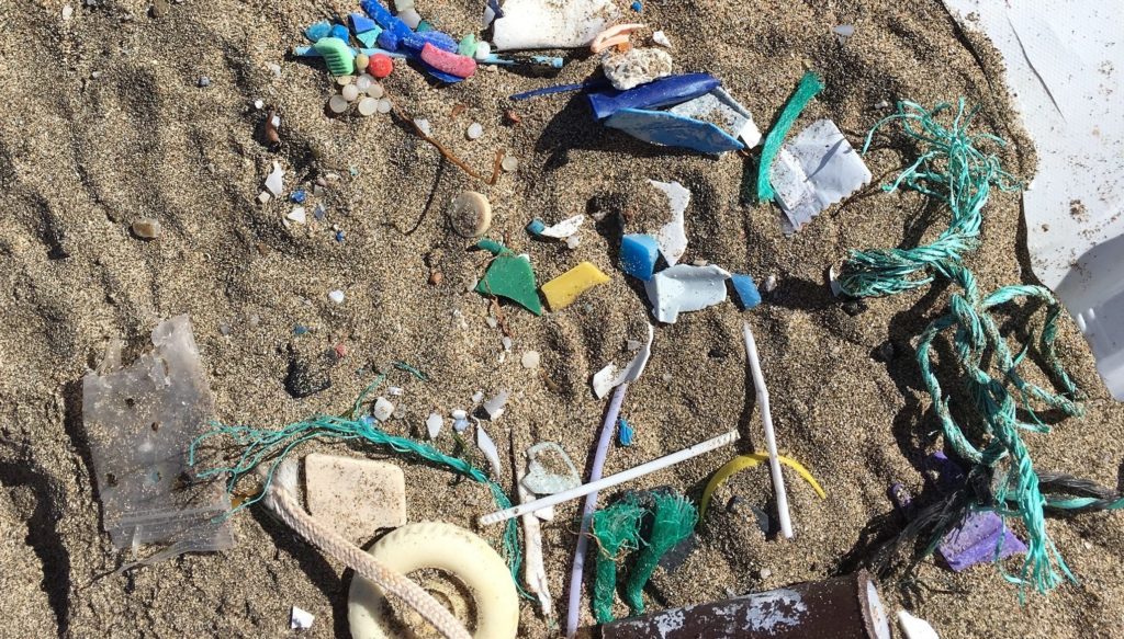 Mikroplastik-Partikel