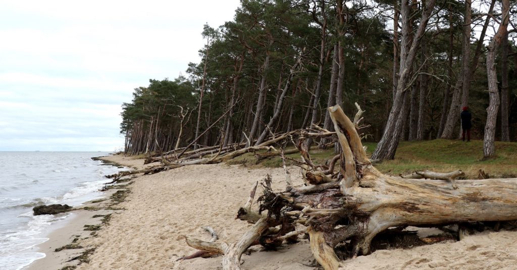 Sturmschäden an den Küsten