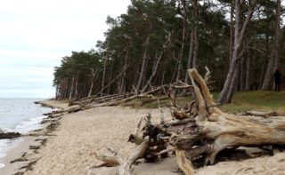 Sturmschäden an den Küsten