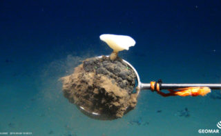 Manganknolle mit einem Tiefseeschwamm, Expedition SO242