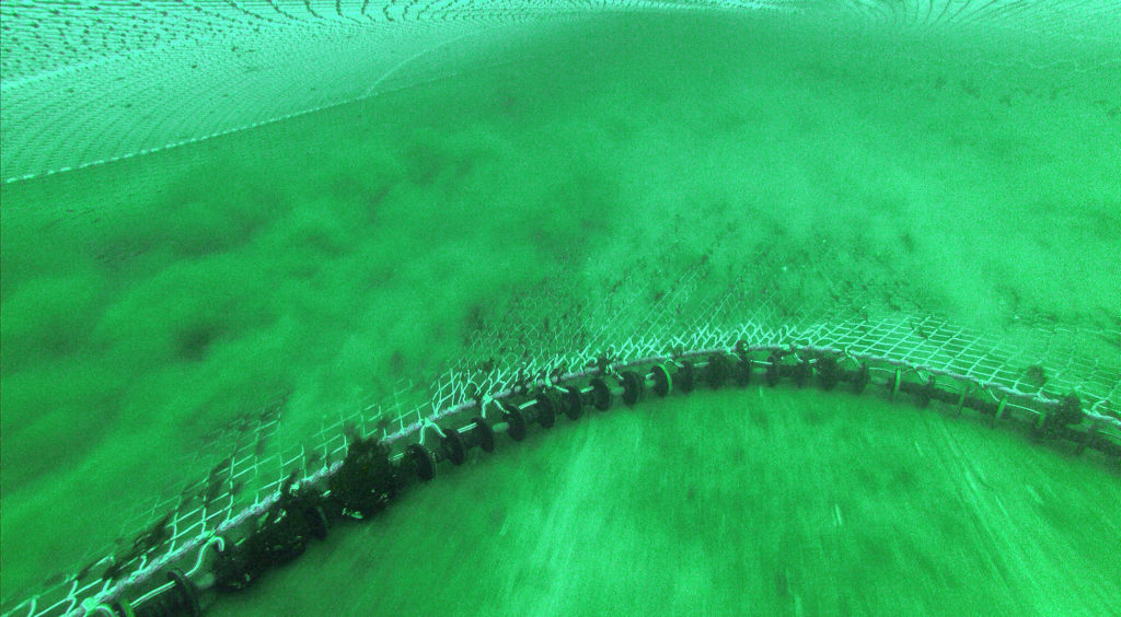 Bottom trawling - shown here with the associated bottom longline in use - can cause severe physical damage to the seabed.