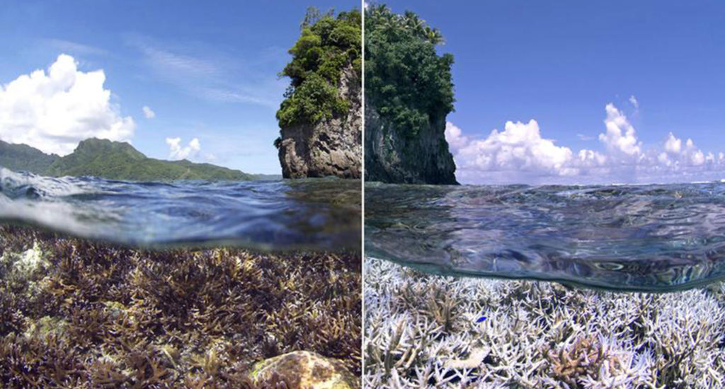 Great Barrier Reef