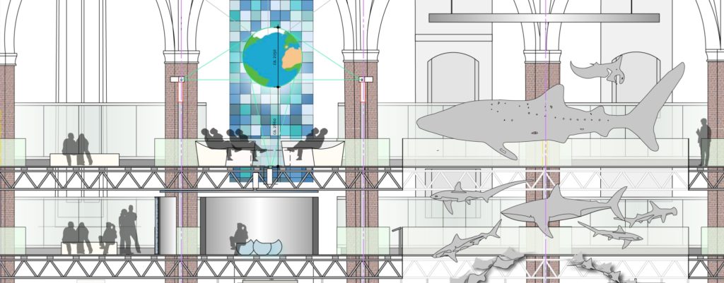 Das „Netzwerk Ozean“ wird anhand eines digital bespielten Globus‘ im Obergeschoss des MEERESMUSEUMs vermittelt