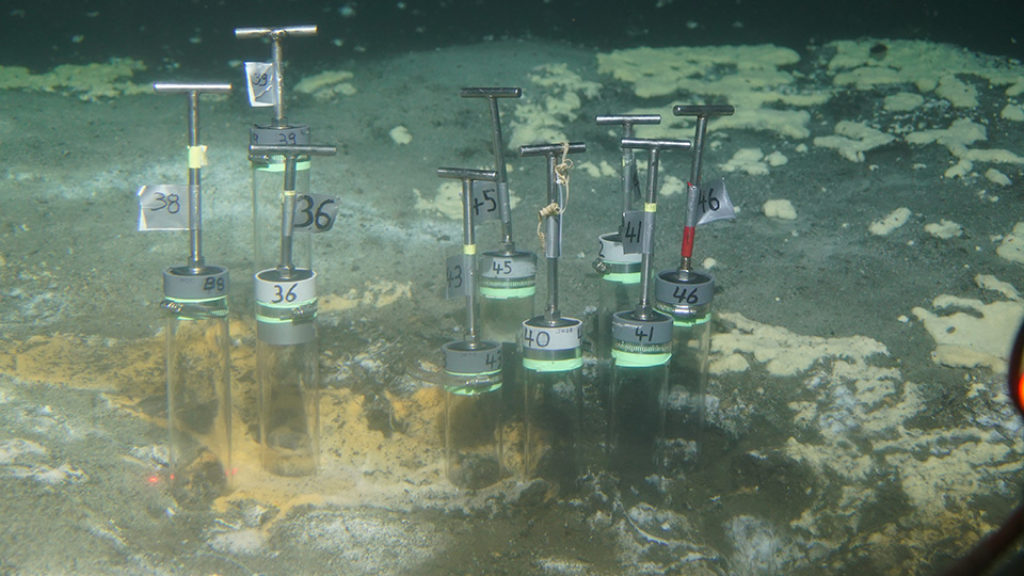 methane-oxidizing consortia