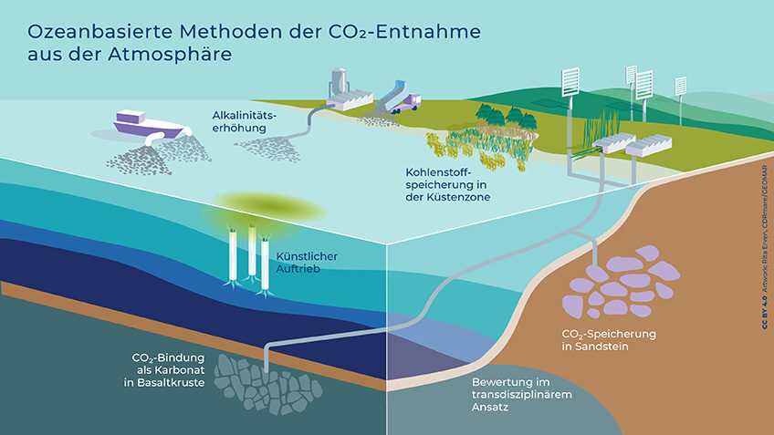 Kohlenstoffspeicher Meer