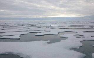 Polarstern nähert sich dem Nordpol und passiert leicht zu durchfahrendes Eis. Das mit Schmelztümpeln bedeckte und von unten schmelzende Meereis ist kein wirkliches Hindernis für den Forschungseisbrecher, der auf dem Weg ist, eine neue Eisscholle zu suchen, um den Beginn und das frühe Einfrieren auf der letzten MOSAiC-Etappe zu untersuchen.