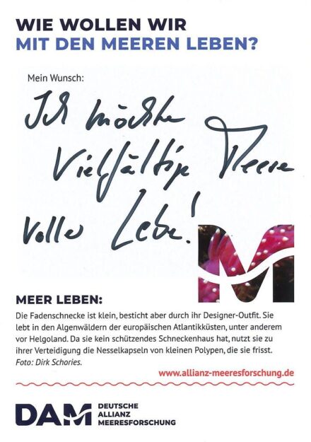 Ausgefüllte Wunsch-Karte "Ich möchte vielfältige Meere voller Leben" am Stand der DAM zum Deutschlandtag am 3. Oktober 23 in Hamburg