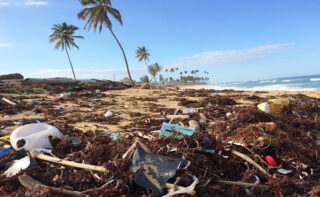 Plastik im Meer und in der übrigen Umwelt: Das Problem der Vermüllung drängt zum Handeln.