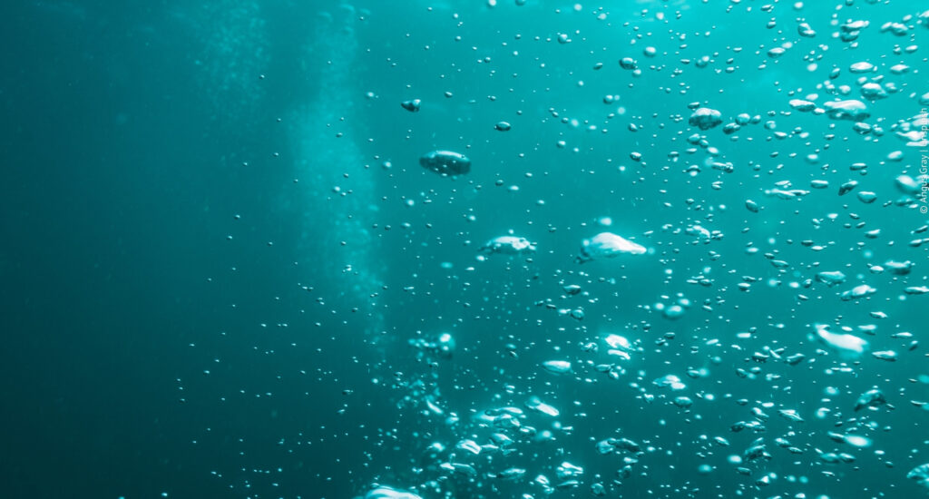 Aufsteigende Blasen unter der Wasseroberfläche