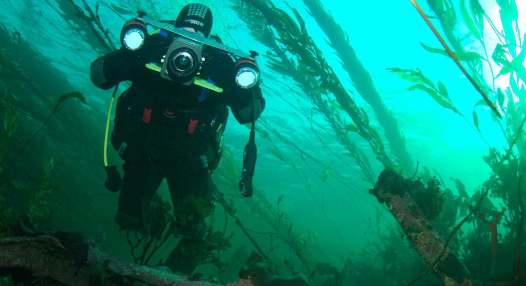 Transfer Header: Diver with underwater camera equipment