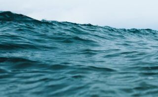 A high wave rises in the sea