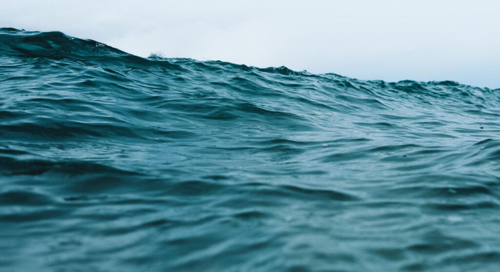 A high wave rises in the sea