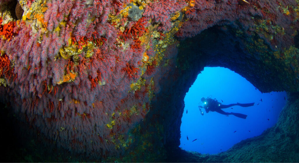 UN-Dekade: Taucher über dem Eingang einer Unterwasserhöhle